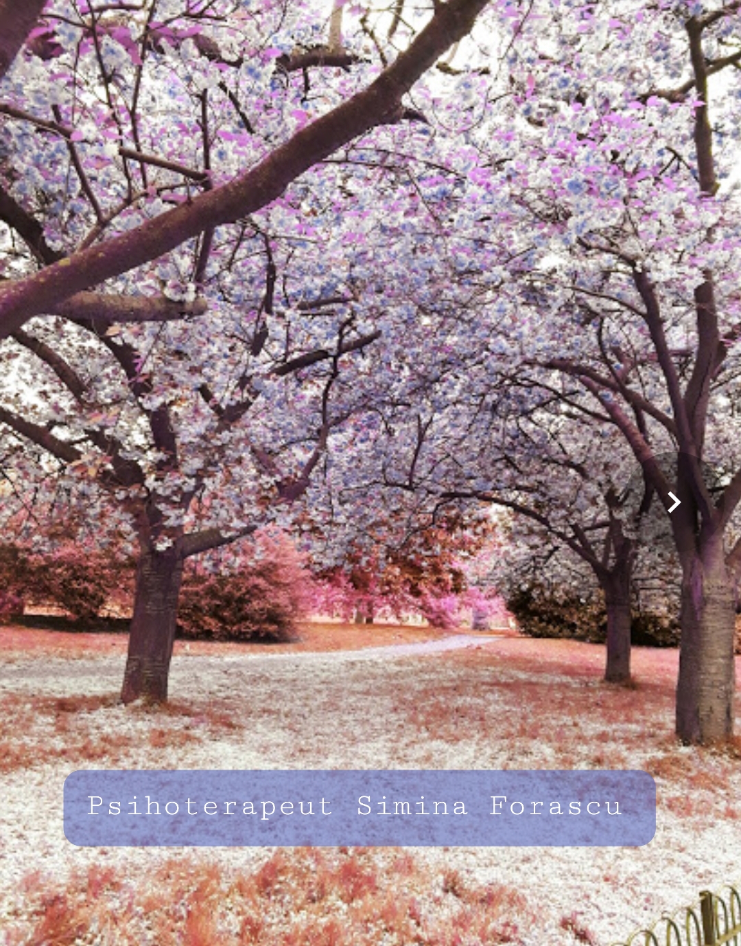 Cabinet individual de psihologie FORĂSCU SIMINA