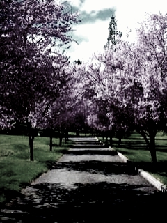 Cabinet individual de psihologie FORĂSCU SIMINA