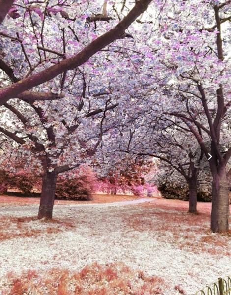 Cabinet individual de psihologie FORĂSCU SIMINA